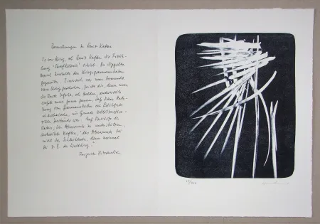 Litografia Hartung - L 1976-27