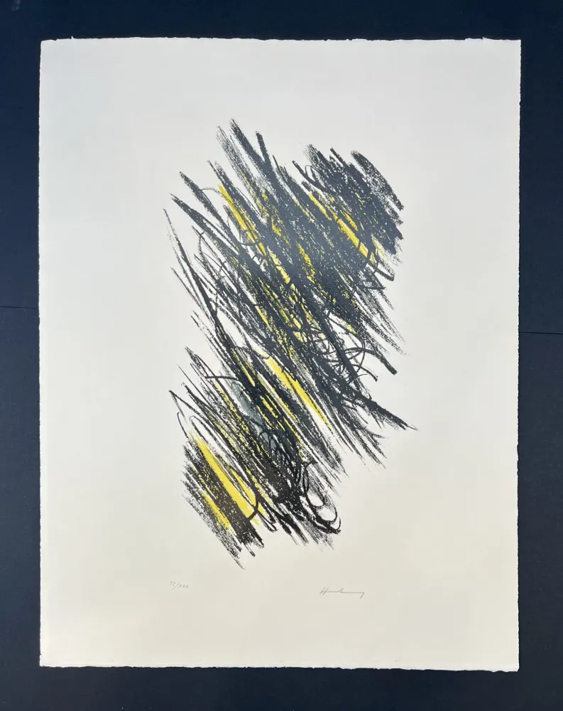 Litografia Hartung - L 25