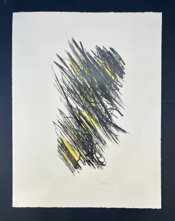 Litografia Hartung - L 25