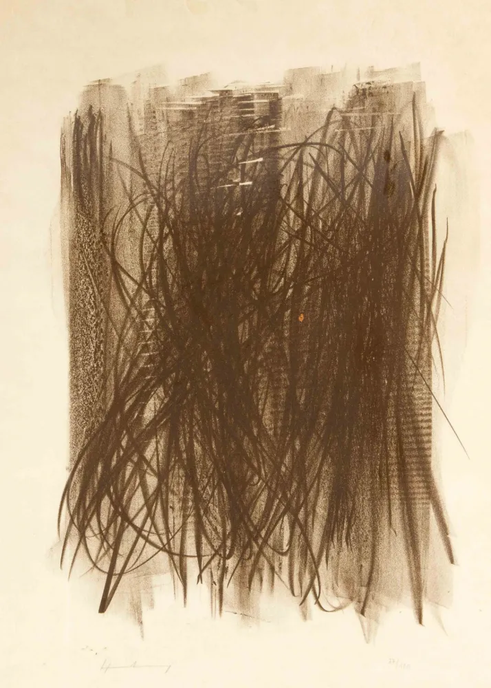 Sem Técnica Hartung - L92