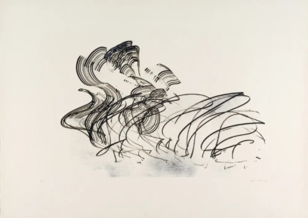 Água-Forte E Água-Tinta Hartung - Las Estampas de La Cometa