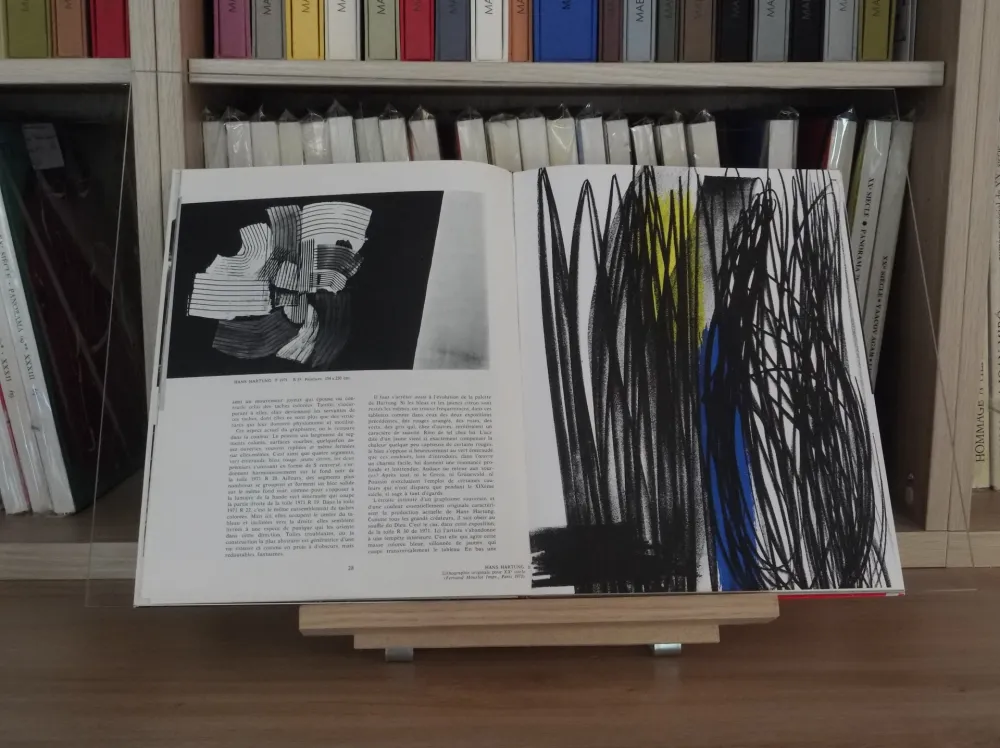 Livro Ilustrado Hartung - Xxe lazzaro no 43