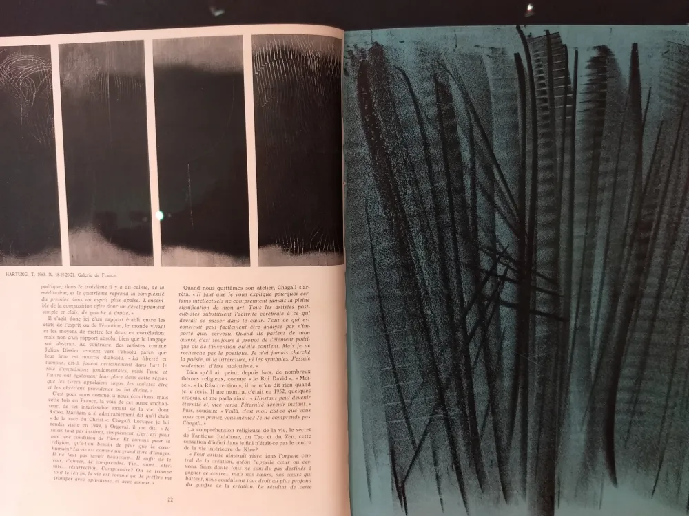 Livro Ilustrado Hartung - XXE No 24