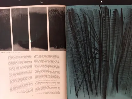 Livro Ilustrado Hartung - XXE No 24