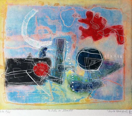 Gravura Hasegawa - Eclat de lumiere 