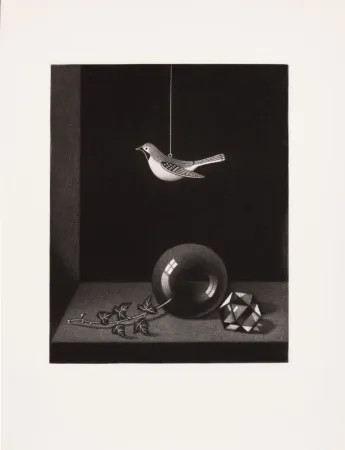 Livro Ilustrado Hasegawa - PORTRAIT DE KIYOSHI HASEGAWA. Avec 5 