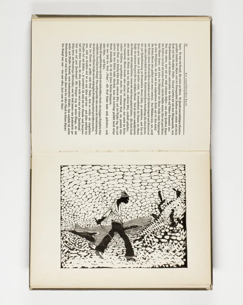 Livro Ilustrado Hasemann - Himmel und Hölle auf der Landstraße