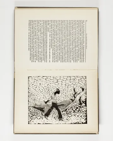 Livro Ilustrado Hasemann - Himmel und Hölle auf der Landstraße