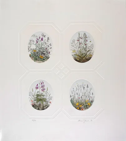 Água-Forte Hauck - Les Fleurs - Flowers