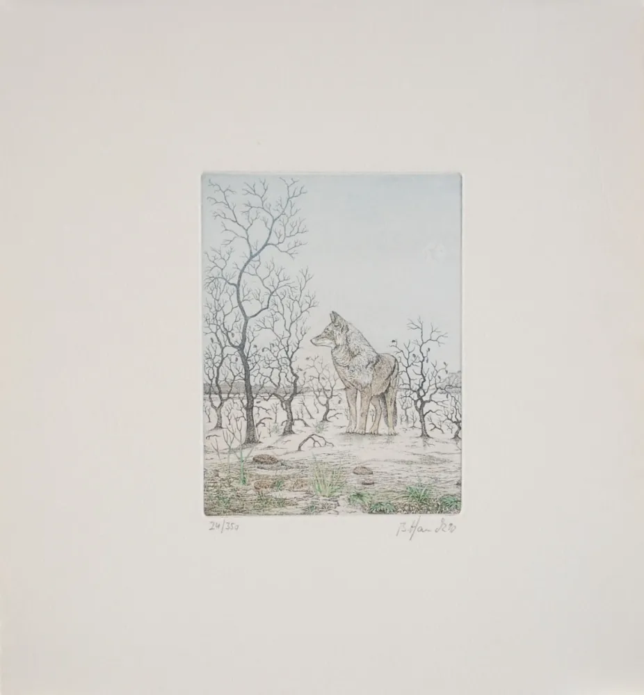 Água-Forte Hauck - Loup - Wolf