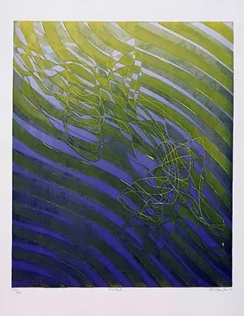 Gravura Hayter - Free fall