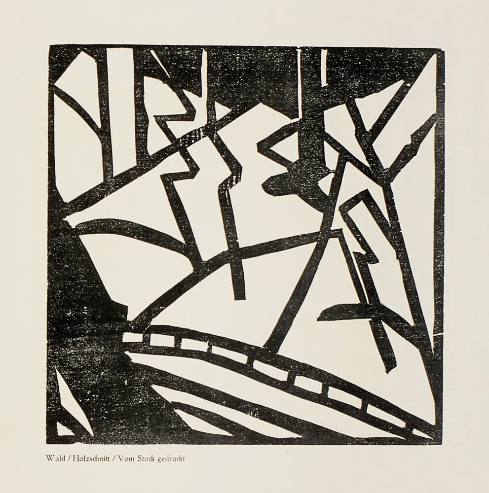 Xilogravura Heemskerck,  - Sturm-Bilderbuch VII 