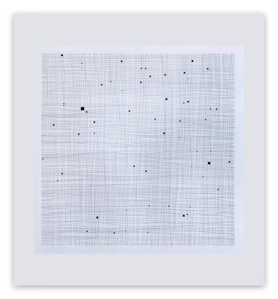 Sem Técnica Henderson - Terms and Conditions