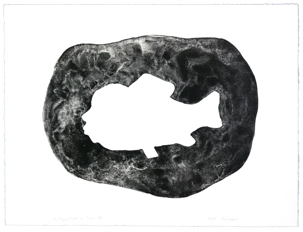 Litografia Henin - Auportrait en carpe VIII