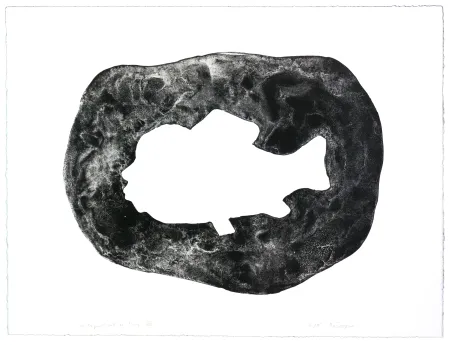 Litografia Henin - Auportrait en carpe VIII