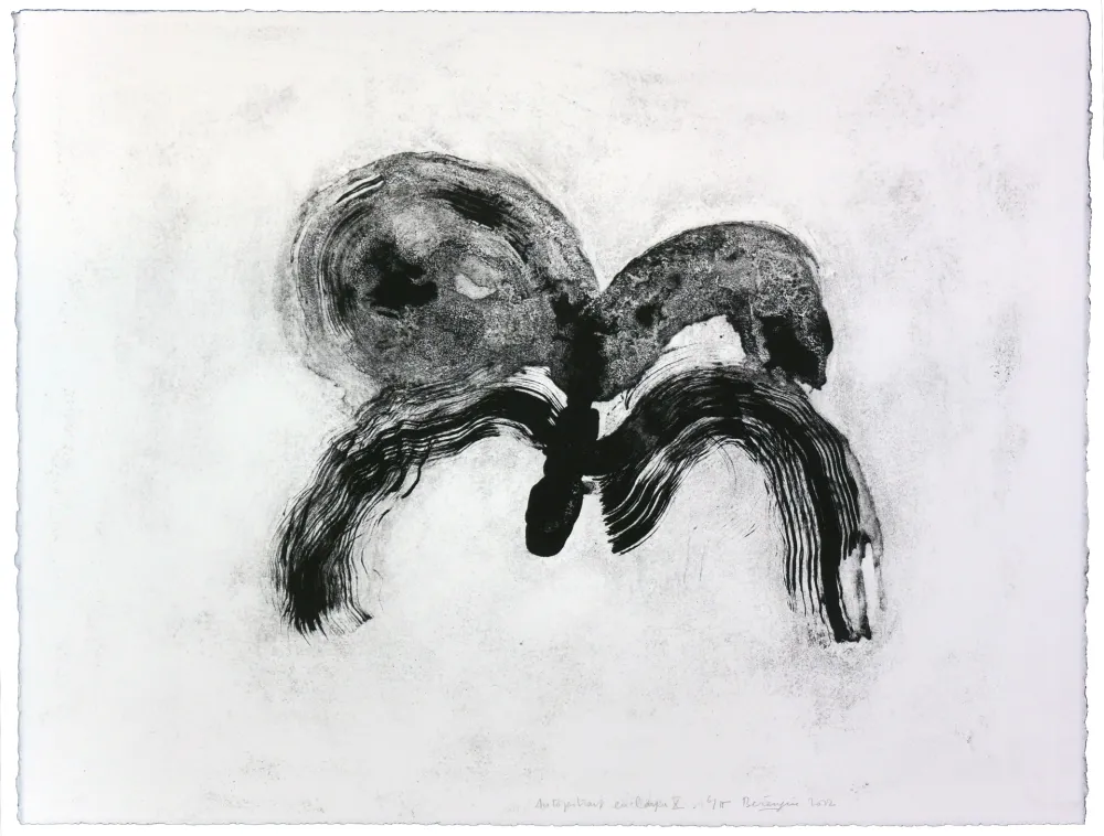 Litografia Henin - Auportrait en carpe X