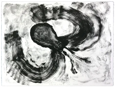 Litografia Henin - Auportrait en carpe XI