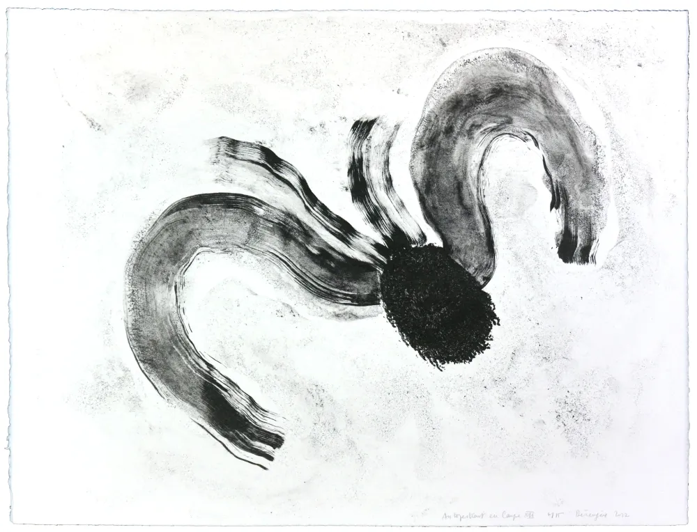 Litografia Henin - Auportrait en carpe XII