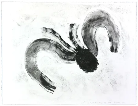 Litografia Henin - Auportrait en carpe XII