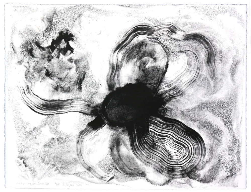 Litografia Henin - Auportrait en carpe XIII