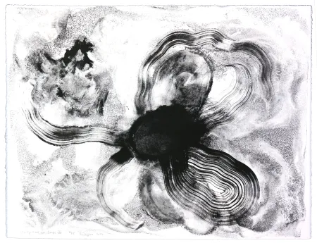 Litografia Henin - Auportrait en carpe XIII