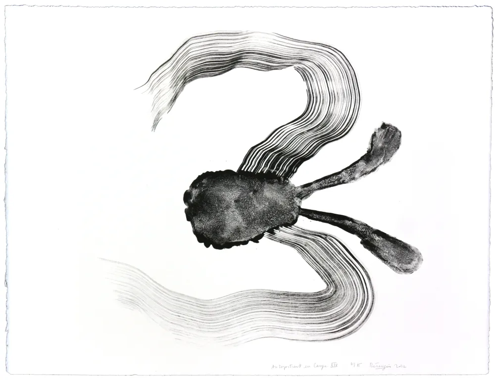 Litografia Henin - Auportrait en carpe XIV