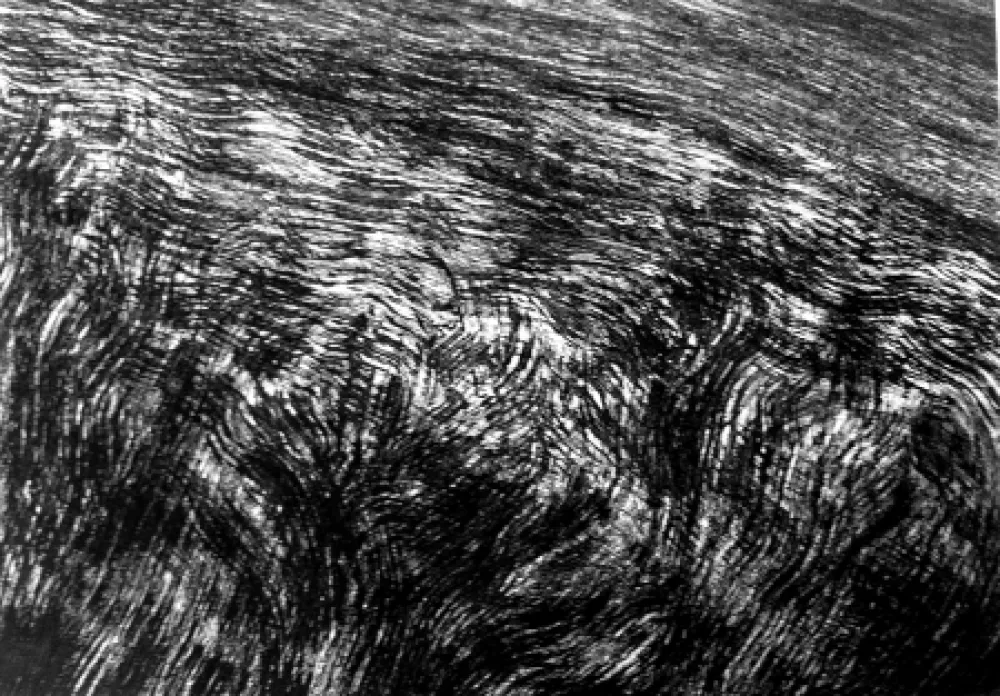 Gravura Henry - De bruits d'un vent à jamais