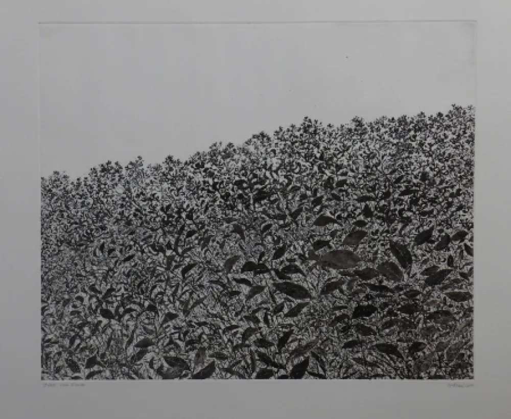 Água-Forte Henry - Sans titre