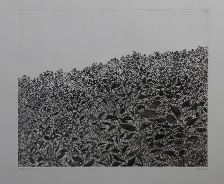 Água-Forte Henry - Sans titre