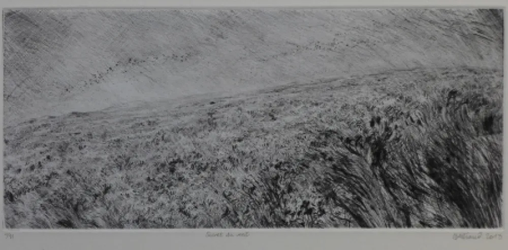 Ponta-Seca Henry - Secret du vent