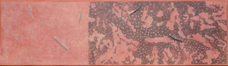 Água-Forte E Água-Tinta Herman - L' origine des origines