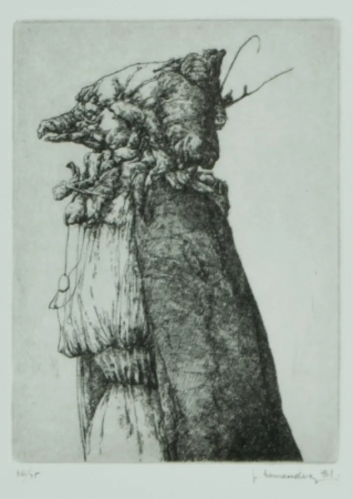 Gravura Hernandez - Personaje