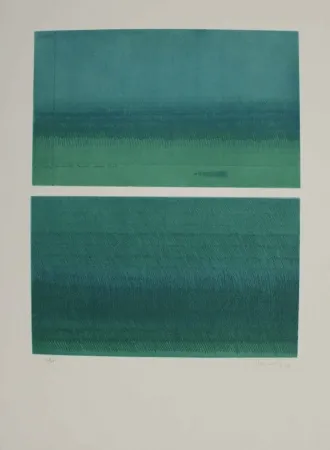 Água-Forte E Água-Tinta Hernandez Pijuan - Doble paisatge