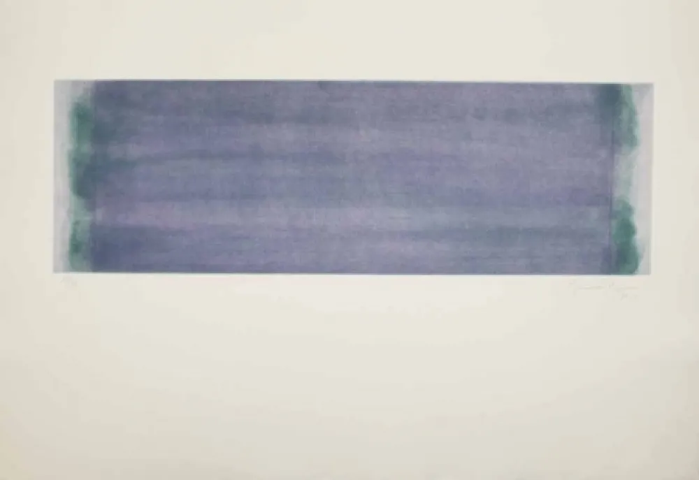 Água-Forte E Água-Tinta Hernandez Pijuan - HP 15