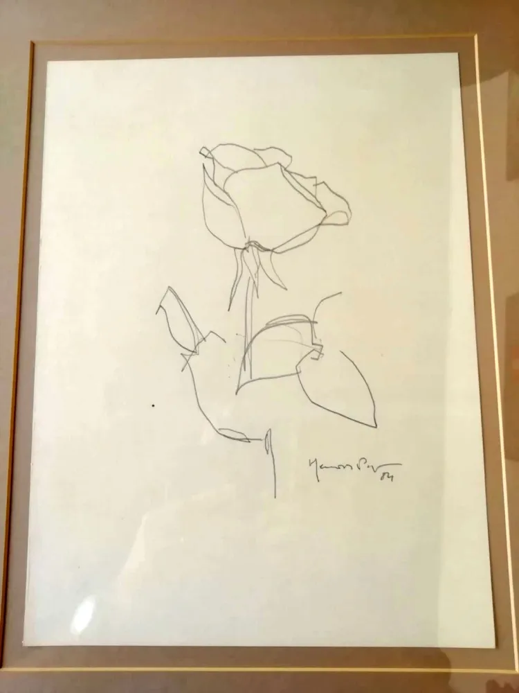 Sem Técnica Hernandez Pijuan - La Rosa - 3