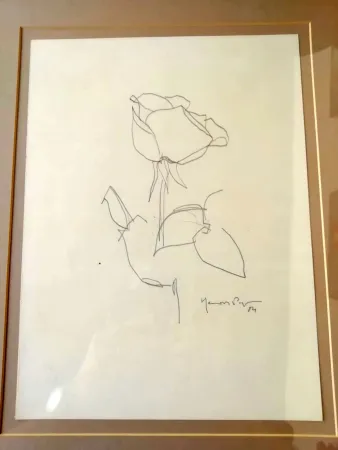 Sem Técnica Hernandez Pijuan - La Rosa - 3