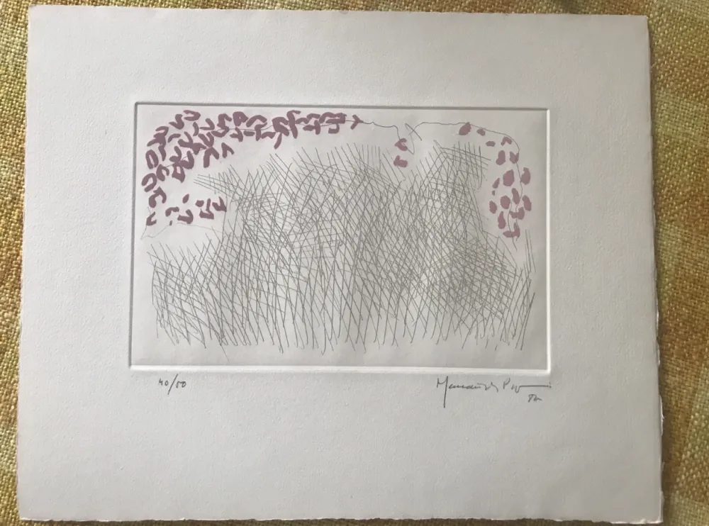 Água-Forte E Água-Tinta Hernandez Pijuan - PJ-10