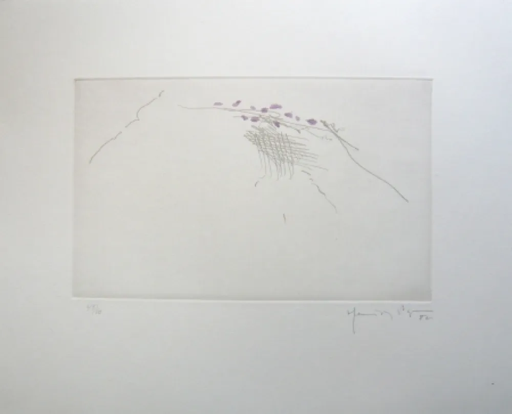 Gravura Hernandez Pijuan - PJ8