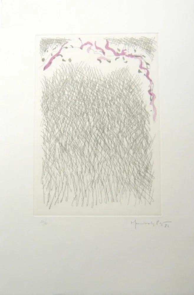 Gravura Hernandez Pijuan - PL2