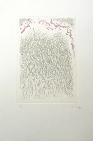 Gravura Hernandez Pijuan - PL2