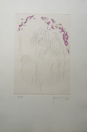 Gravura Hernandez Pijuan - PL3