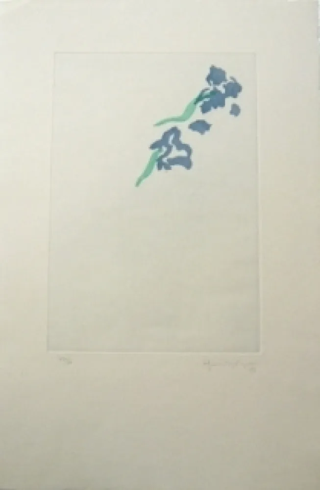 Gravura Hernandez Pijuan - PL5