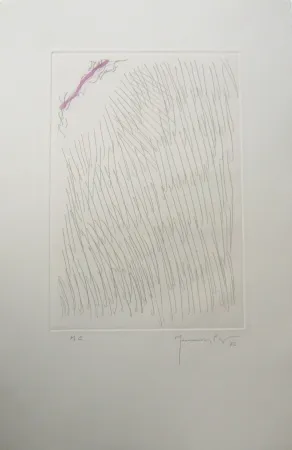 Gravura Hernandez Pijuan - PL8