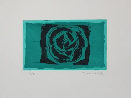 Água-Forte E Água-Tinta Hernandez Pijuan - Rosa verda / Green Rose