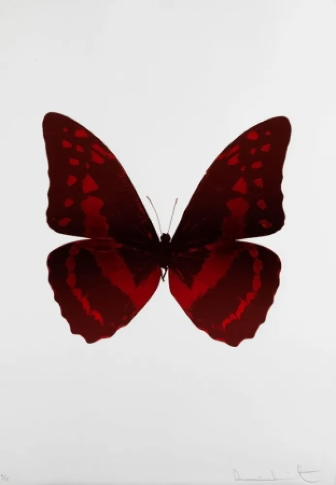 Sem Técnica Hirst - Bristol 