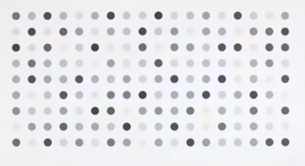 Gravura Hirst - Diacetoxyscirpenol Spot Print