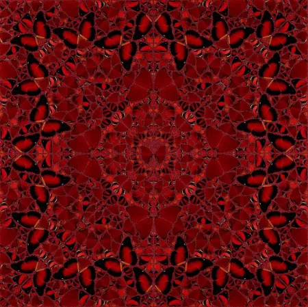 Serigrafia Hirst - H10-2 Nūr Jahān