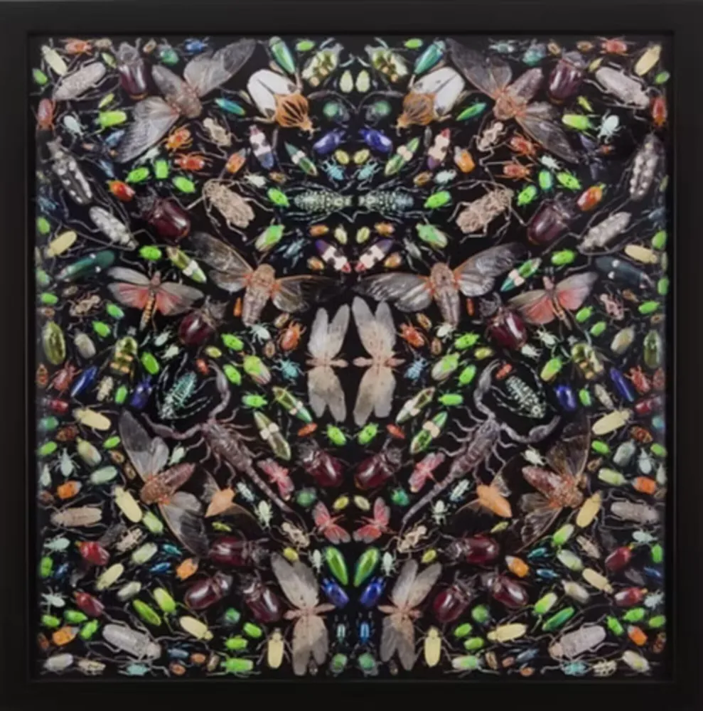 Múltiplo Hirst - Inferno