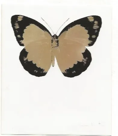 Sem Técnica Hirst - Long Life Purple African Gold Imperial Purple Skull