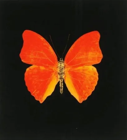 Múltiplo Hirst - Memento 3